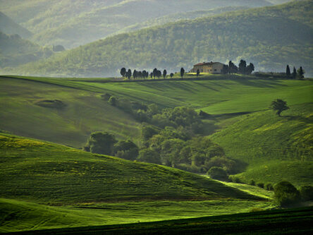 Paesaggio rurale