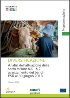 Copertina "Diversificazione - Analisi attuazione sotto misure 6.4 - 6.2"