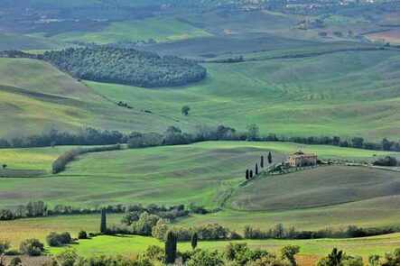 Paesaggio rurale