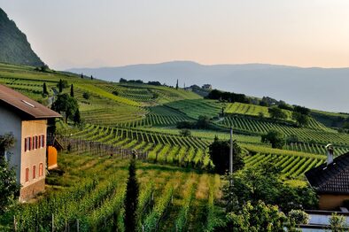 Paesaggio rurale