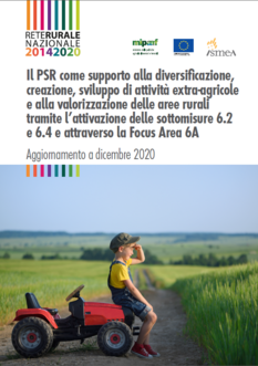 Copertina Report "PSR come supporto alla diversificazione"