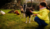 Copertina del Rapporto "Agriturismo e multifunzionalità" 2026
