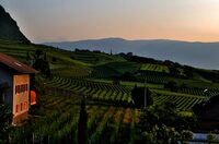 Paesaggio rurale