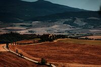 Paesaggio rurale