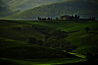 Paesaggio rurale