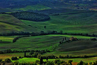 Paesaggio rurale