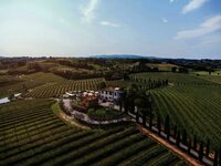 Paesaggio rurale