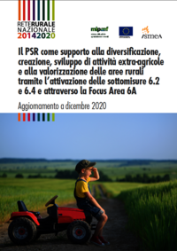 Copertina Report "PSR come supporto alla diversificazione"